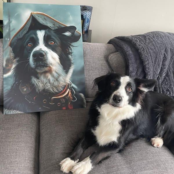 Border collie couché sur un canapé à côté de son portrait imprimé