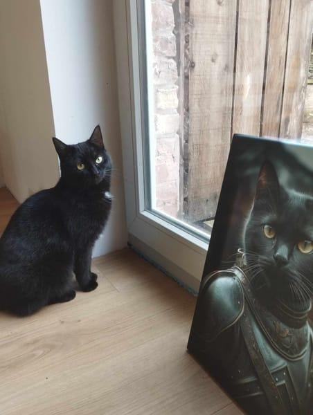 Chat noir assis près d’une fenêtre, son portrait posé à côté