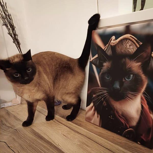 Chat siamois devant son portrait imprimé